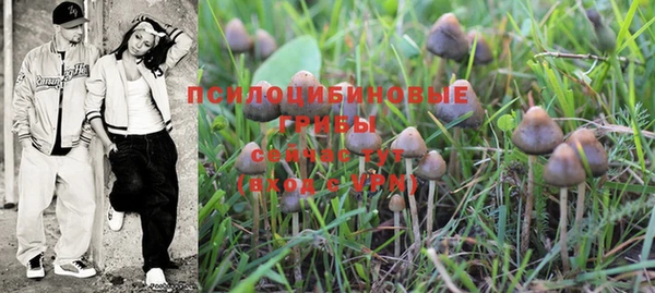 твердый Пестово