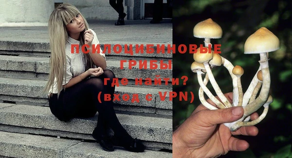 а пвп мука Валдай