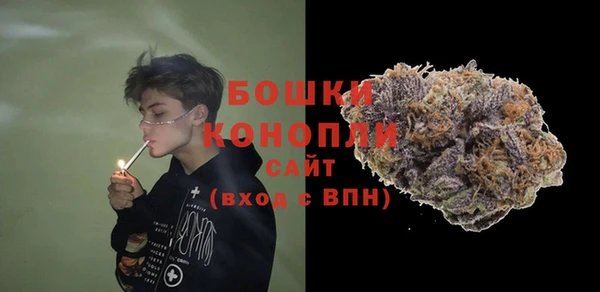 PSILOCYBIN Осинники