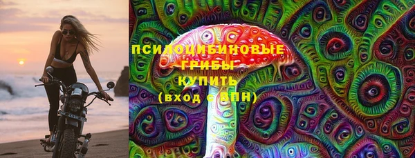 индика Всеволожск